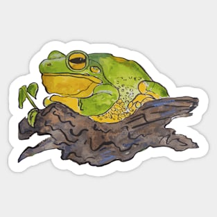 Beautiful chunky frog print Sticker